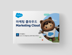 Marketing Cloud - B2C 마케팅 관리 솔루션