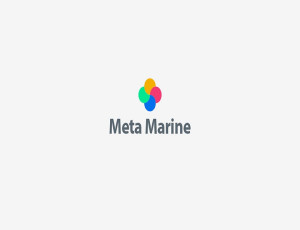 Meta Marine - 조선해양 ERP솔루션