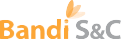 bandisnc_logo.png