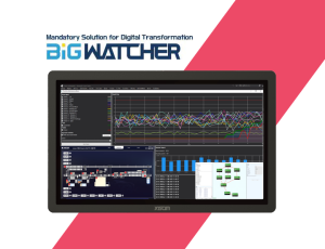 BIGWATCHER