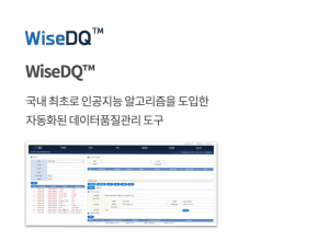 와이즈디큐(WiseDQ™)