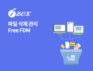 Free FDM - 파일 삭제 관리