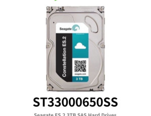 Seagate ST33000650SS 3TB HDD