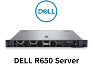 DELL R650 Server